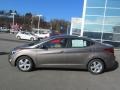 Desert Bronze - Elantra GLS Photo No. 2