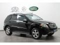 Black - ML 350 4Matic Photo No. 1