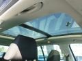 Sapphire Blue Metallic - Tiguan SE 4Motion Photo No. 10