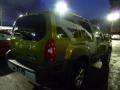 Metallic Green - Xterra S 4x4 Photo No. 6