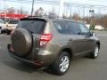 Pyrite Mica - RAV4 4WD Photo No. 4