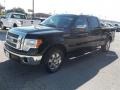 Black - F150 Lariat SuperCrew Photo No. 7