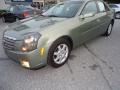 Silver Green - CTS Sedan Photo No. 2