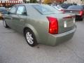 Silver Green - CTS Sedan Photo No. 8