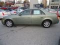 Silver Green - CTS Sedan Photo No. 9