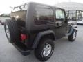 2003 Black Clearcoat Jeep Wrangler Sport 4x4  photo #6