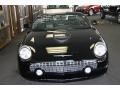 Evening Black - Thunderbird Premium Roadster Photo No. 2