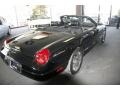 Evening Black - Thunderbird Premium Roadster Photo No. 4