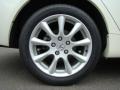 2005 Premium White Pearl Acura TSX Sedan  photo #6