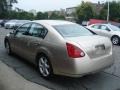 Coral Sand Metallic - Maxima 3.5 SE Photo No. 6