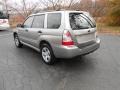 2007 Crystal Gray Metallic Subaru Forester 2.5 X  photo #5