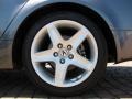 Anthracite Metallic - TL 3.2 Photo No. 28