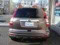 2010 Urban Titanium Metallic Honda CR-V EX AWD  photo #5