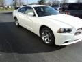Ivory Pearl - Charger SE Photo No. 3