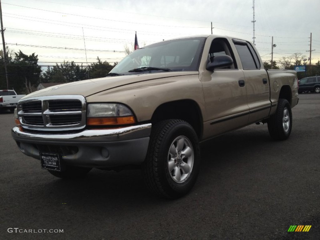 2003 Dakota SLT Quad Cab 4x4 - Light Almond Pearl / Taupe photo #1