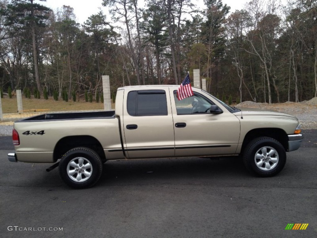 2003 Dakota SLT Quad Cab 4x4 - Light Almond Pearl / Taupe photo #5