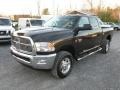 2010 Rugged Brown Pearl Dodge Ram 2500 Big Horn Edition Crew Cab 4x4  photo #3