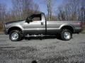 2005 Dark Shadow Grey Metallic Ford F250 Super Duty XLT Regular Cab 4x4  photo #4