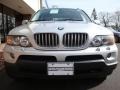 2006 Titanium Silver Metallic BMW X5 4.4i  photo #2