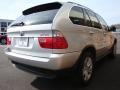 2006 Titanium Silver Metallic BMW X5 4.4i  photo #6