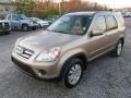 Sahara Sand Metallic - CR-V SE 4WD Photo No. 3