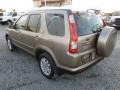 Sahara Sand Metallic - CR-V SE 4WD Photo No. 9