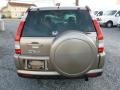 Sahara Sand Metallic - CR-V SE 4WD Photo No. 10