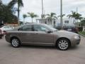 Oyster Gray Metallic - S80 3.2 Photo No. 6