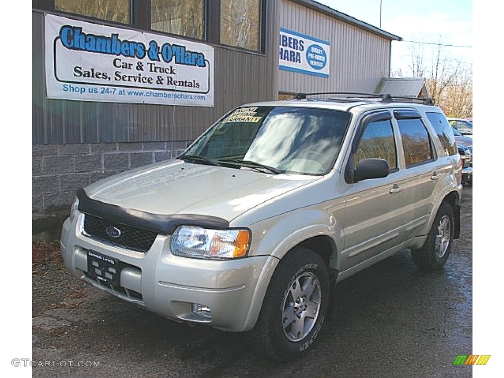 Gold Ash Metallic Ford Escape