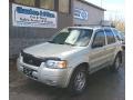2003 Gold Ash Metallic Ford Escape Limited 4WD  photo #1
