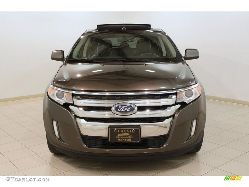 2011 Edge Limited - Earth Metallic / Charcoal Black photo #2