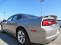 Billet Silver - Charger SE Photo No. 5