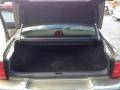 Medium Parchment Trunk Photo for 2002 Lincoln LS #73669185