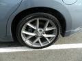 Ocean Gray - Maxima 3.5 SV Photo No. 12