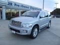Silver Indulgence - QX 56 Photo No. 1