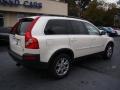 Ice White - XC90 V8 AWD Photo No. 9