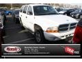 Bright White 2001 Dodge Durango SLT 4x4