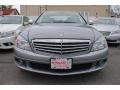 Palladium Silver Metallic - C 300 4Matic Luxury Photo No. 2