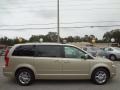 2010 White Gold Chrysler Town & Country Limited  photo #11