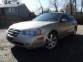 Sunlit Sand Metallic - Maxima GLE Photo No. 1