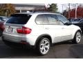 2010 Titanium Silver Metallic BMW X5 xDrive48i  photo #5