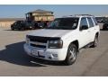 Summit White 2009 Chevrolet TrailBlazer LT