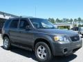 2006 Dark Shadow Grey Metallic Ford Escape XLT V6  photo #7