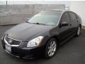 Super Black - Maxima 3.5 SE Photo No. 5