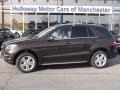 Dakota Brown Metallic - ML 350 4Matic Photo No. 1