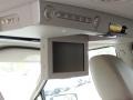 Camel Entertainment System Photo for 2010 Lincoln Navigator #73714961