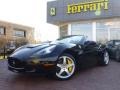 Front 3/4 View of 2010 California 