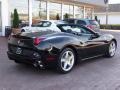 Nero (Black) - California  Photo No. 6