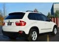 Alpine White - X5 3.0si Photo No. 7