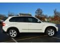 Alpine White - X5 3.0si Photo No. 8